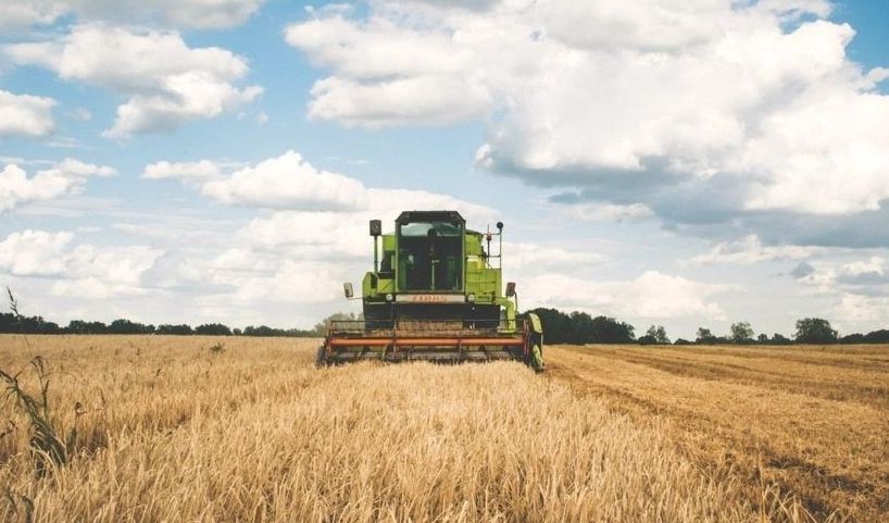 immagine della notizia